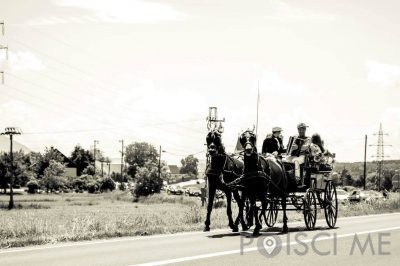 Konjarstvo Cebek, konjereja, Miha Cebek s.p. | Poišči.me